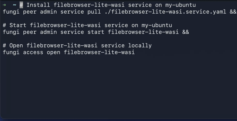 Create and start a remote service locally